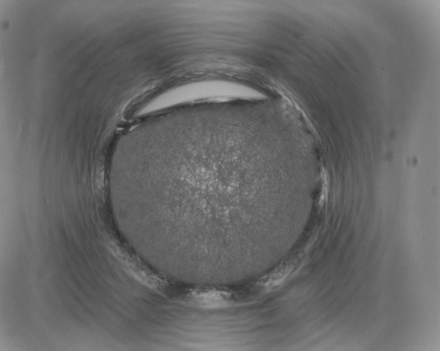 X0000083650407200702261121