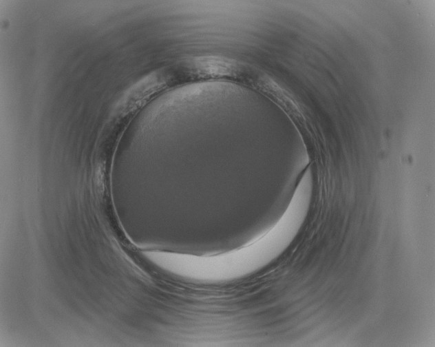 X0000083650410200702261121