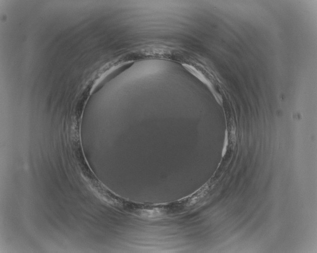 X0000083650411200702261121