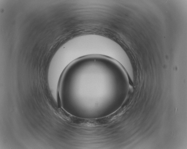 X0000083650412200702261121