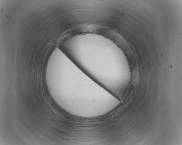 X0000083650413200702261121