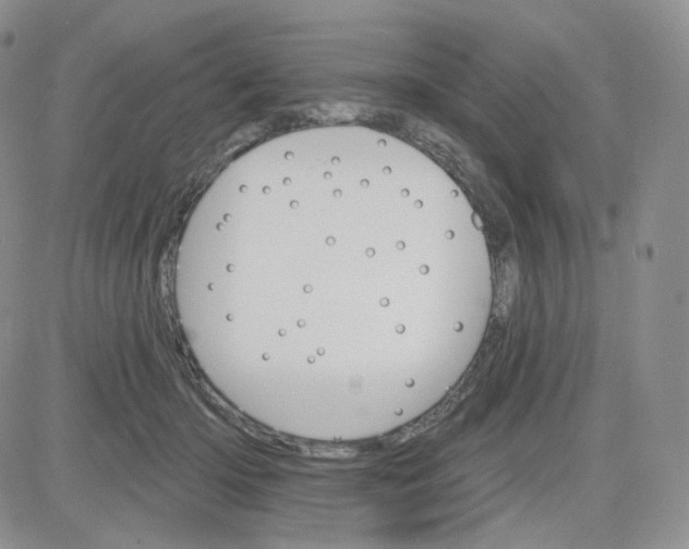 X0000083650414200702261121