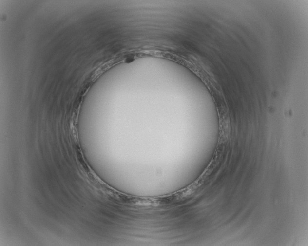 X0000083650415200702261121