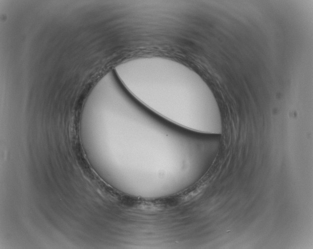 X0000083650416200702261121