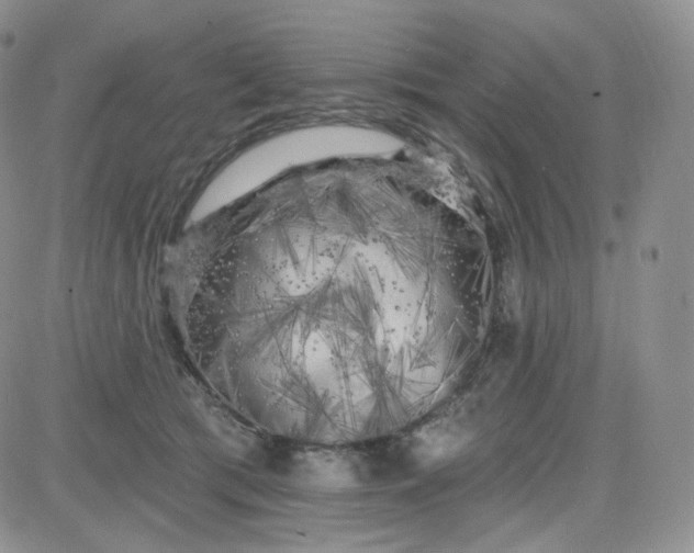 X0000083650417200702261121