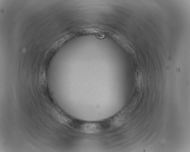 X0000083650418200702261121