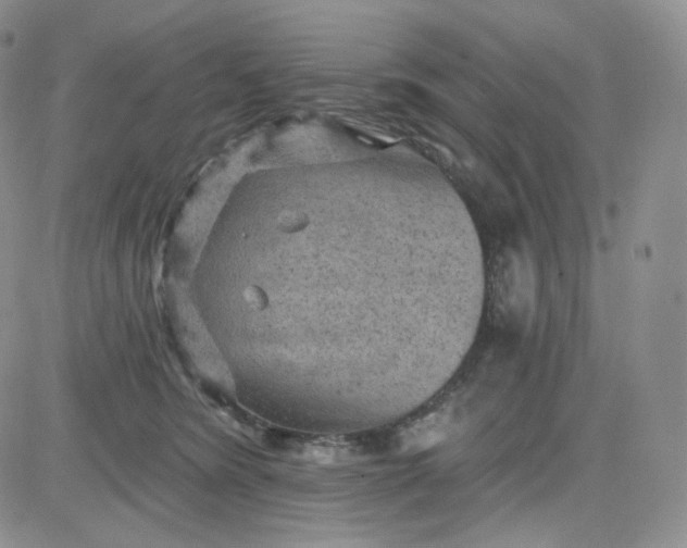 X0000083650420200702261121