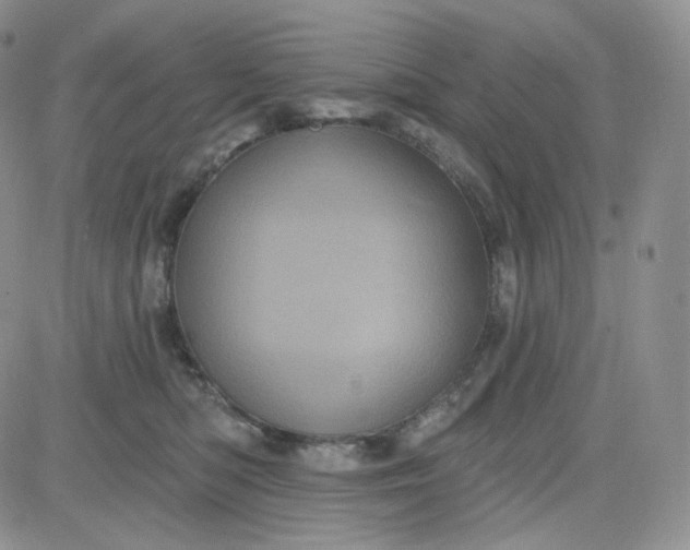 X0000083650422200702261121