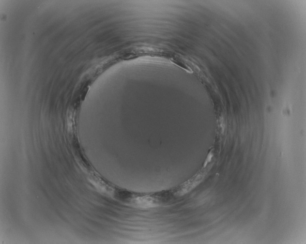 X0000083650423200702261121