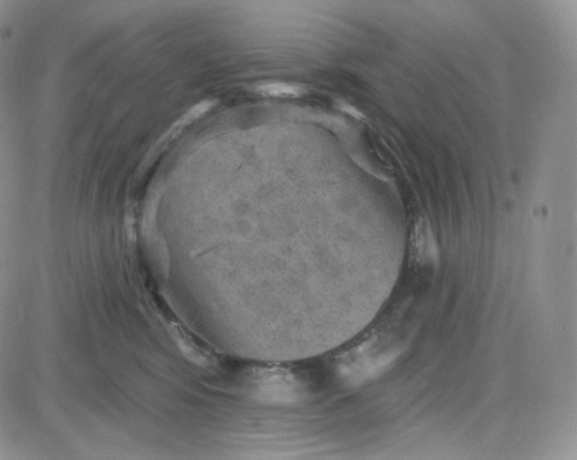 X0000083650424200702261121