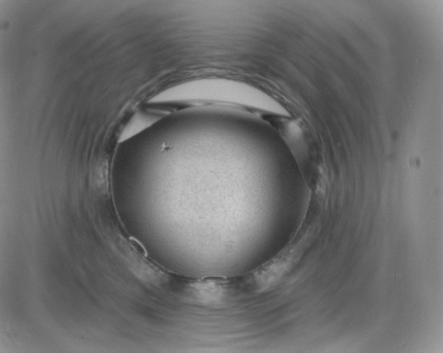 X0000083650425200702261121