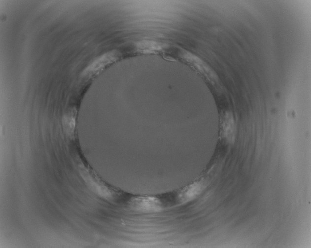 X0000083650427200702261121