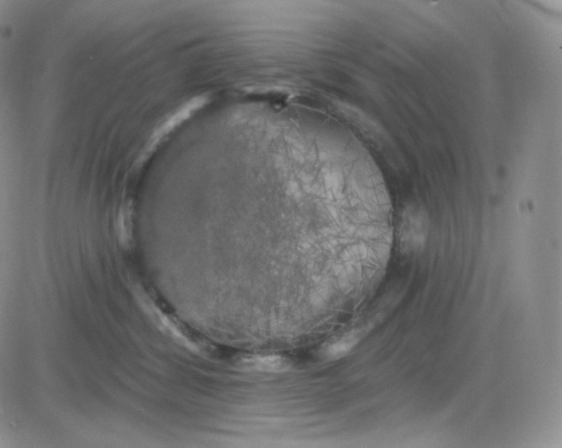 X0000083650428200702261121