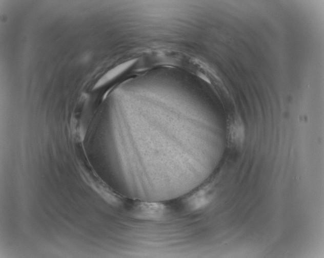 X0000083650429200702261121