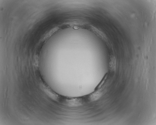 X0000083650430200702261121