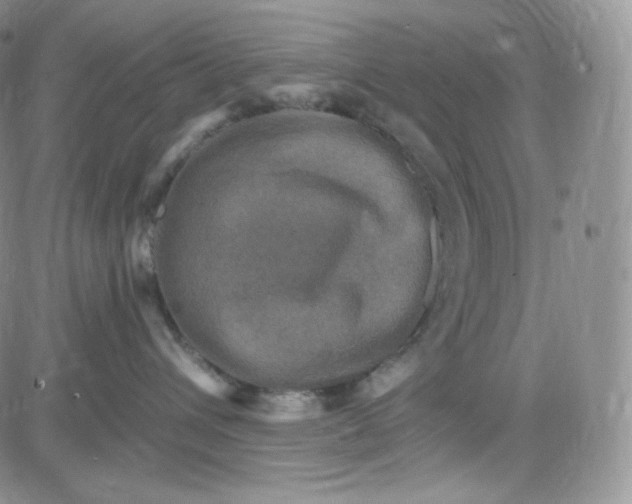 X0000083650432200702261121