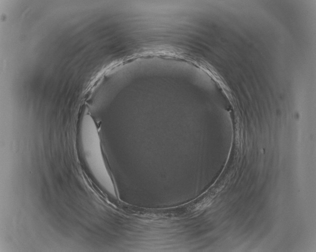 X0000083650434200702261120