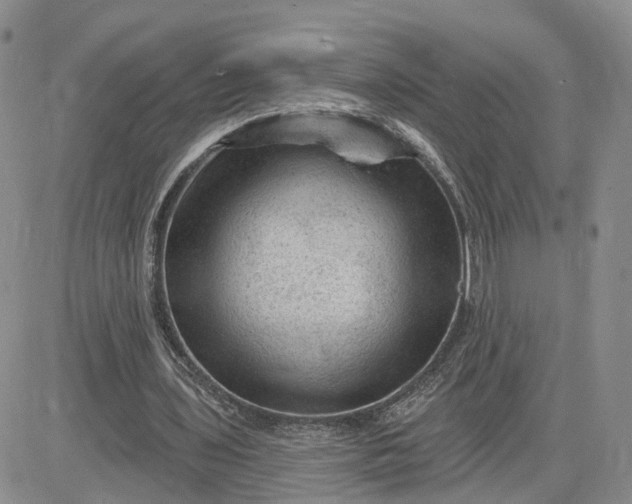 X0000083650435200702261120