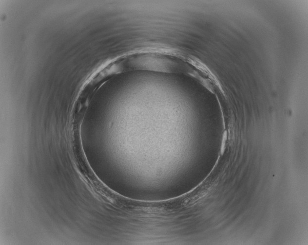 X0000083650436200702261120