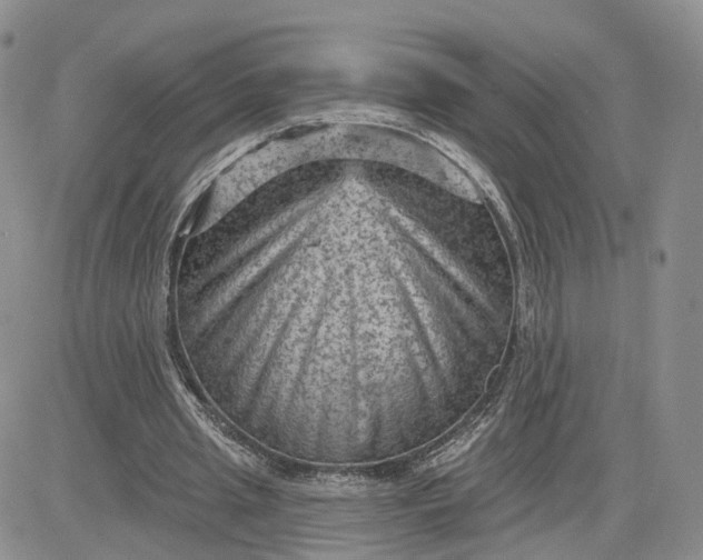 X0000083650437200702261120