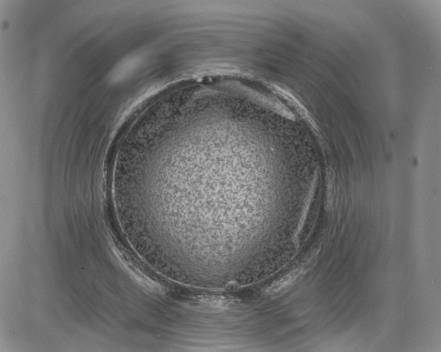 X0000083650439200702261120