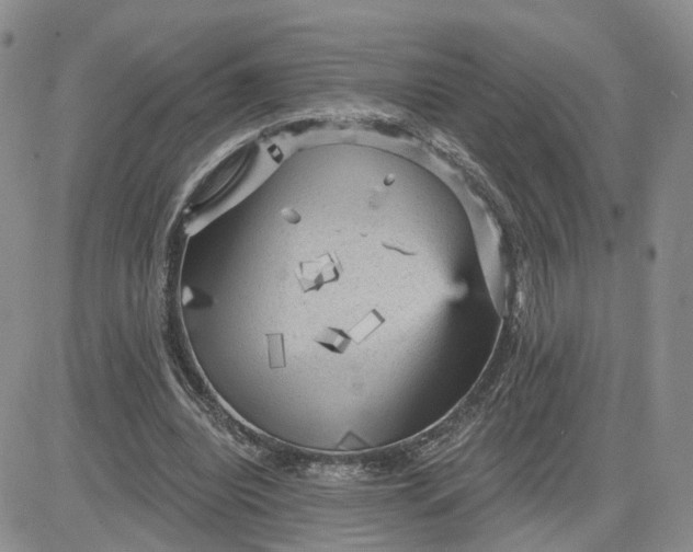 X0000083650440200702261120