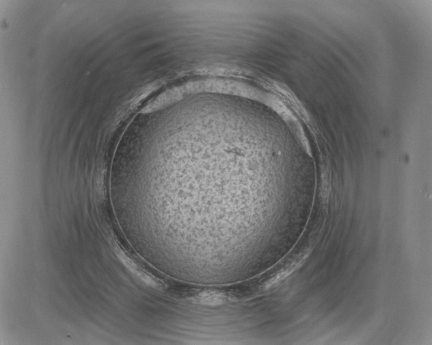 X0000083650441200702261120