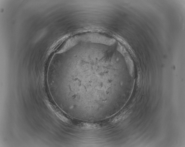 X0000083650442200702261120