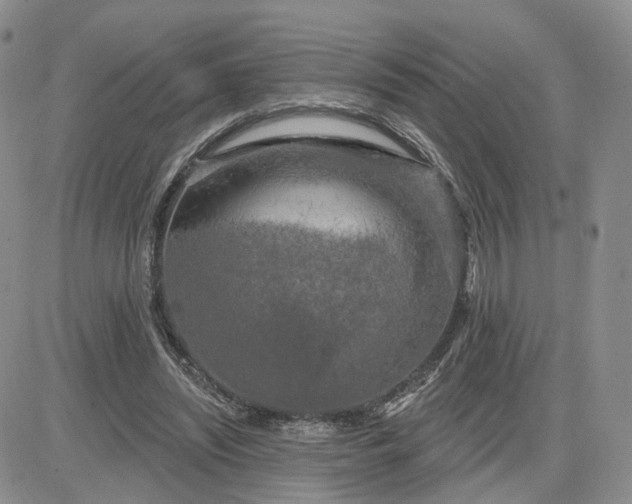 X0000083650444200702261120