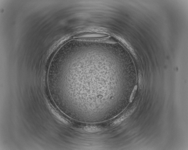 X0000083650445200702261120