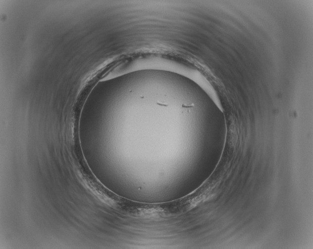 X0000083650446200702261120