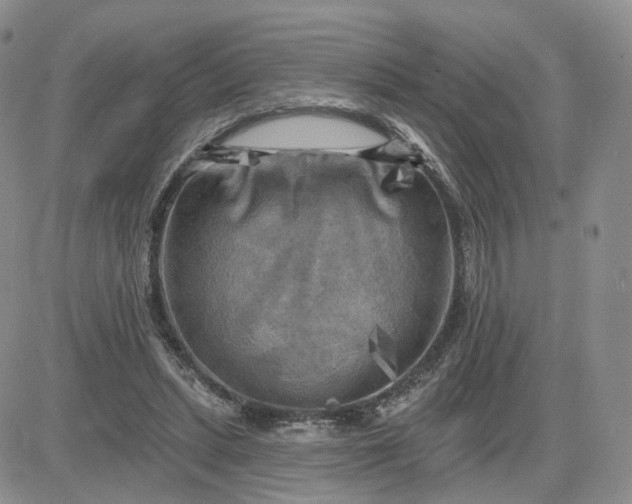 X0000083650447200702261120