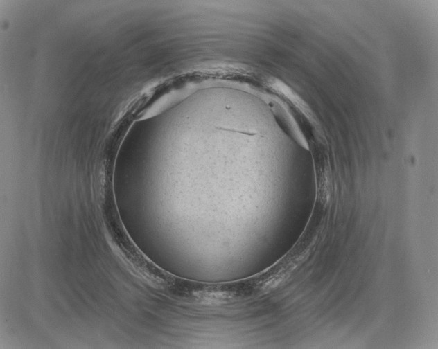 X0000083650448200702261120