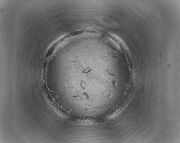 X0000083650449200702261120