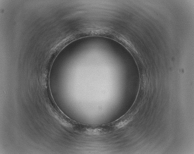 X0000083650450200702261120