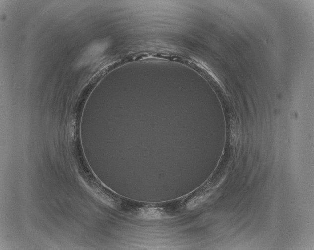 X0000083650451200702261120