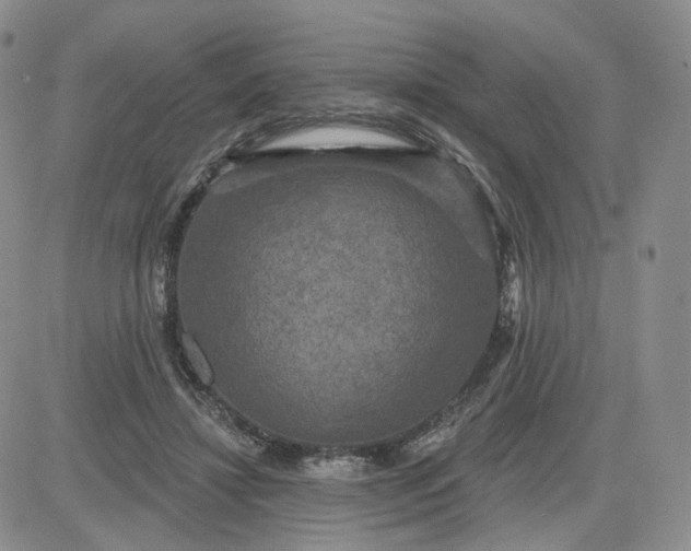 X0000083650452200702261120