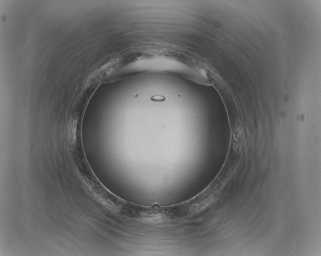 X0000083650454200702261120