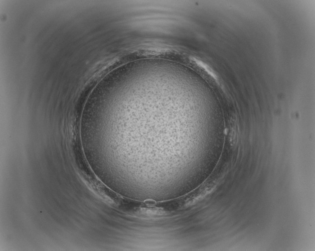 X0000083650455200702261120