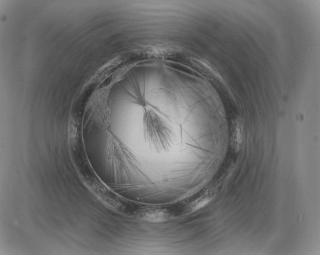 X0000083650456200702261120