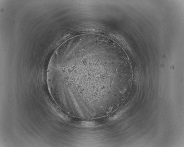 X0000083650457200702261120