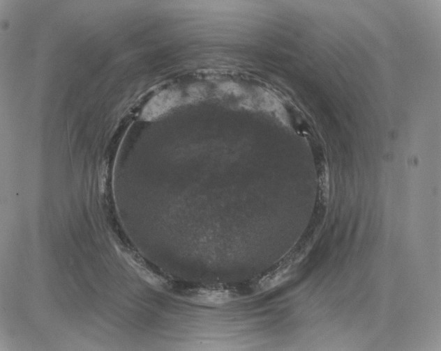 X0000083650458200702261120