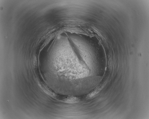 X0000083650459200702261120