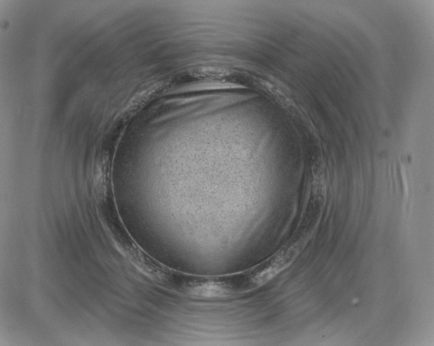 X0000083650460200702261120