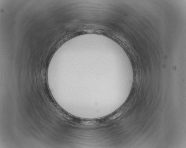 X0000083650461200702261120