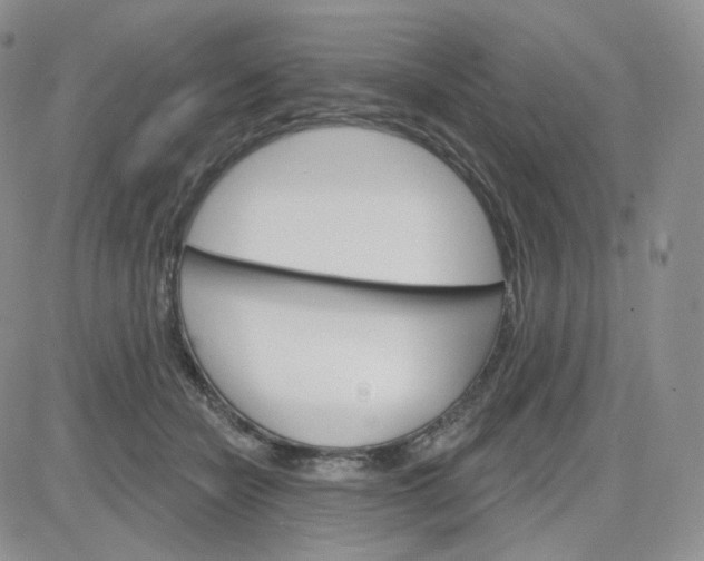 X0000083650462200702261120