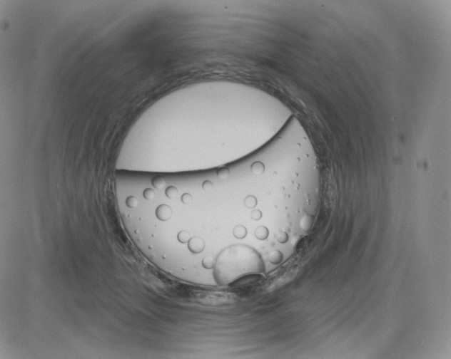 X0000083650463200702261120