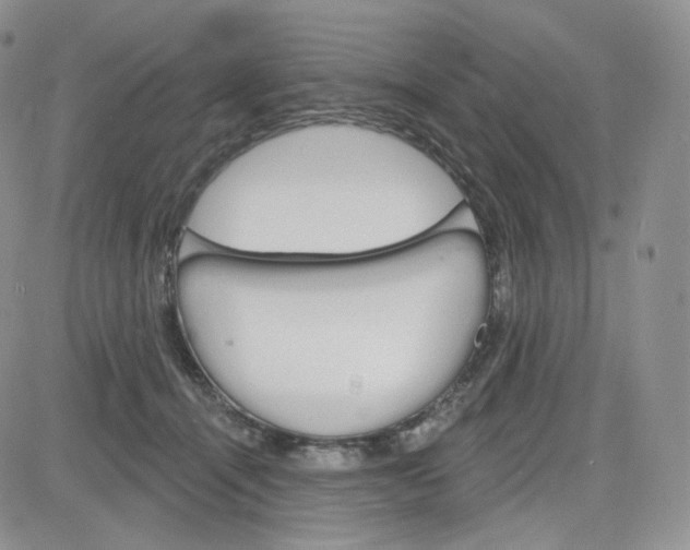 X0000083650464200702261120