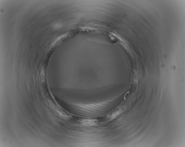 X0000083650465200702261120