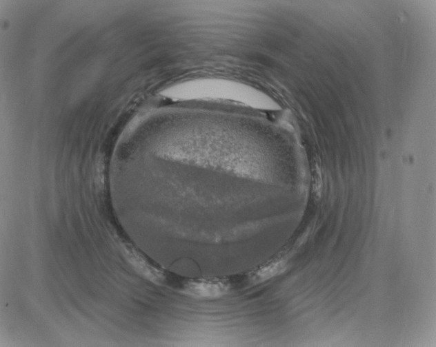 X0000083650466200702261120